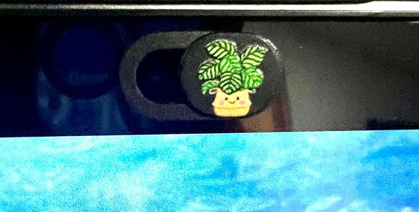 Customer photo from a review