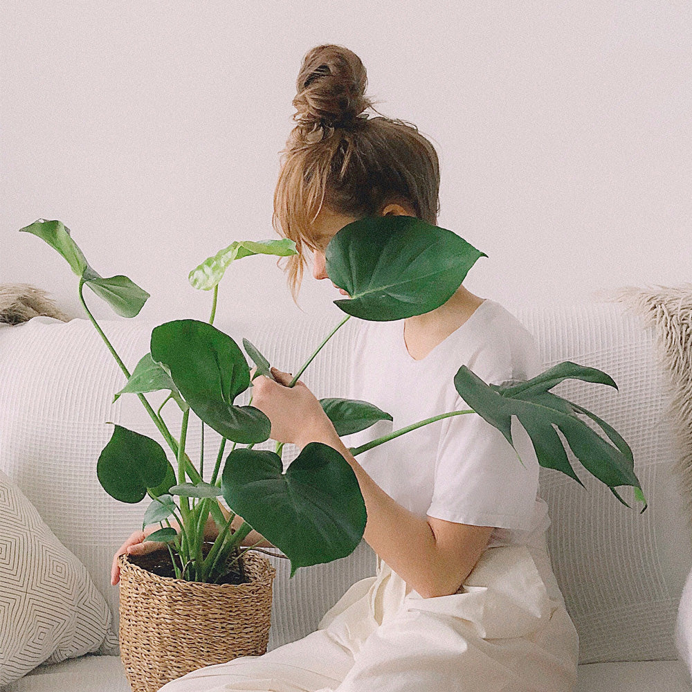 pexels-daria-shevtsova