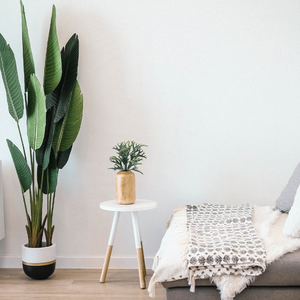 yb3hsmz4utg-unsplash