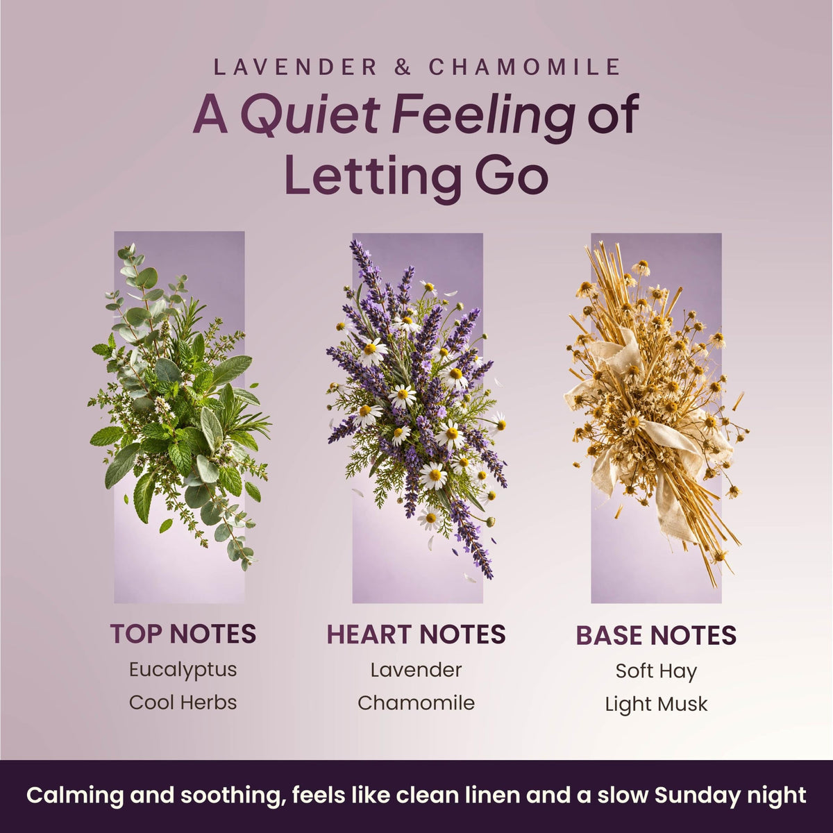Lavender and chamomile scent notes: eucalyptus and herbs, lavender and chamomile, soft hay and musk-