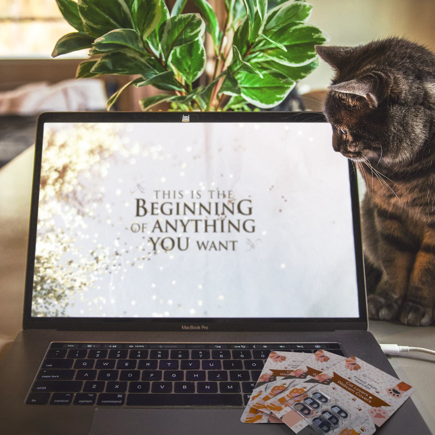 Cat webcam cover