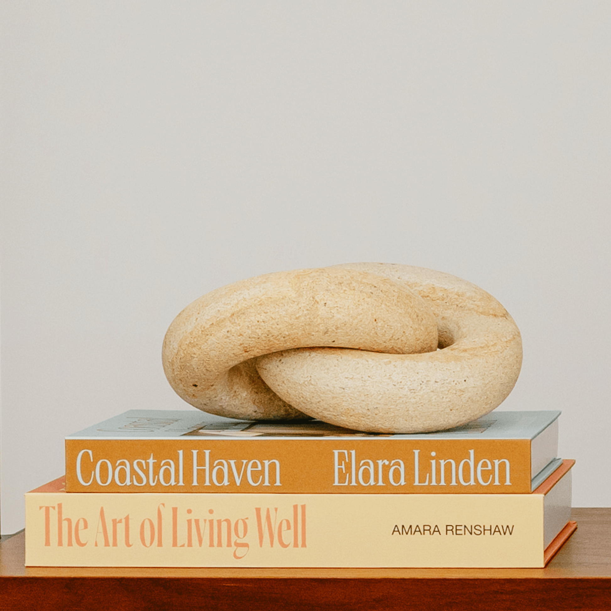 Decorative Books - Home & Living (Set of 2)